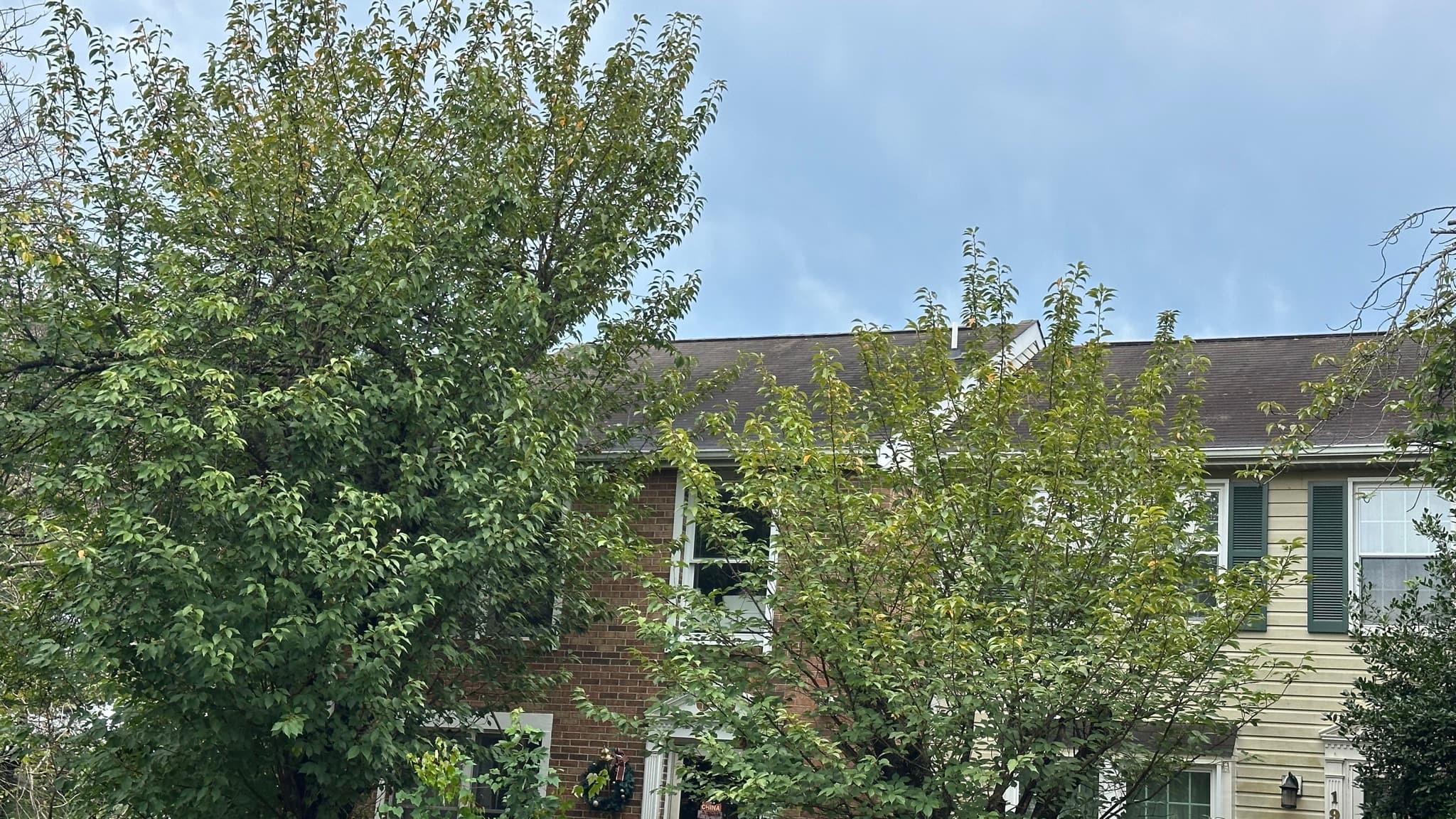 Gunners Lake Village, Germantown MD — Rear roofline and upper level from the yard