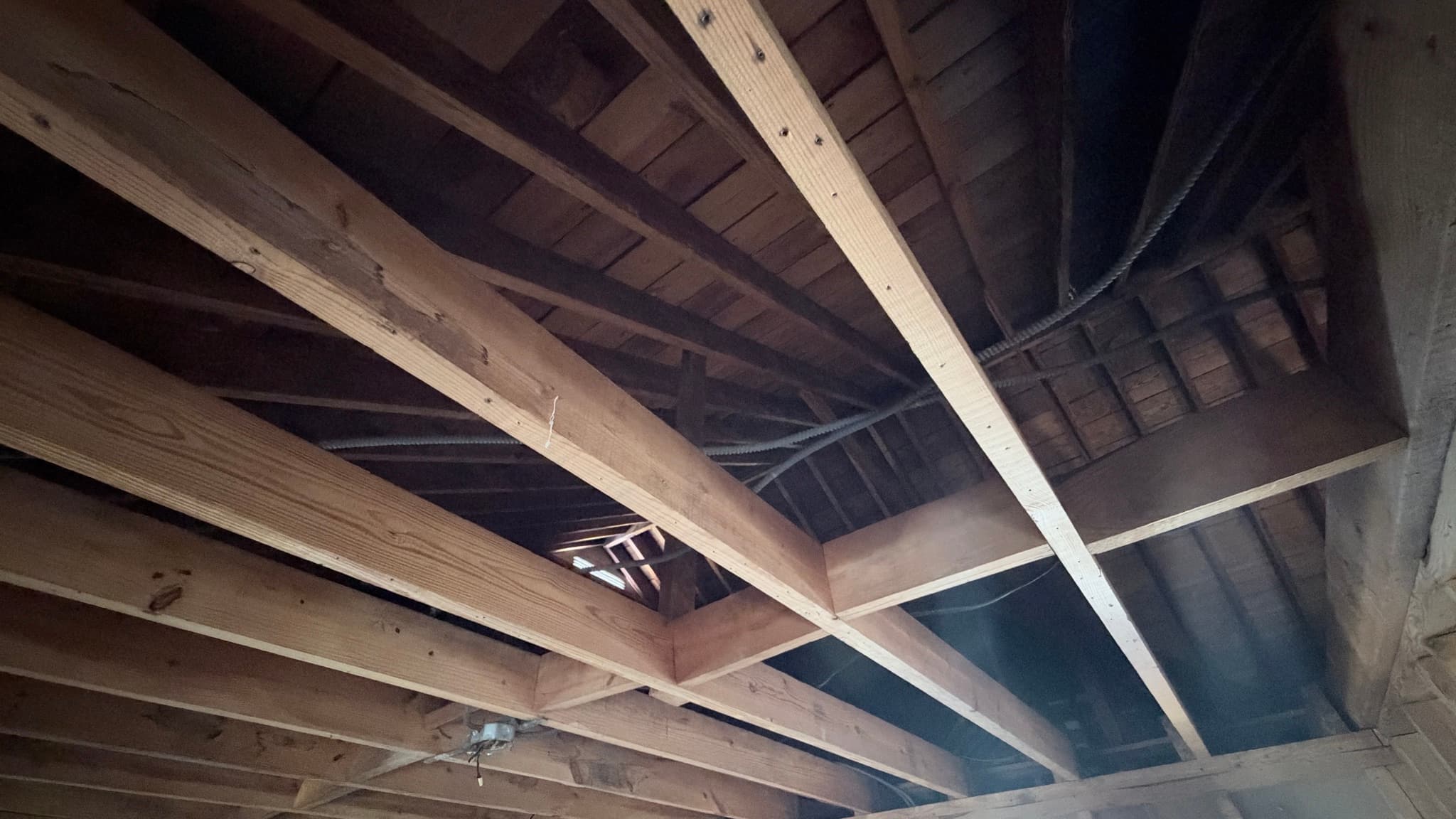 Ceiling open to the joists and roof framing