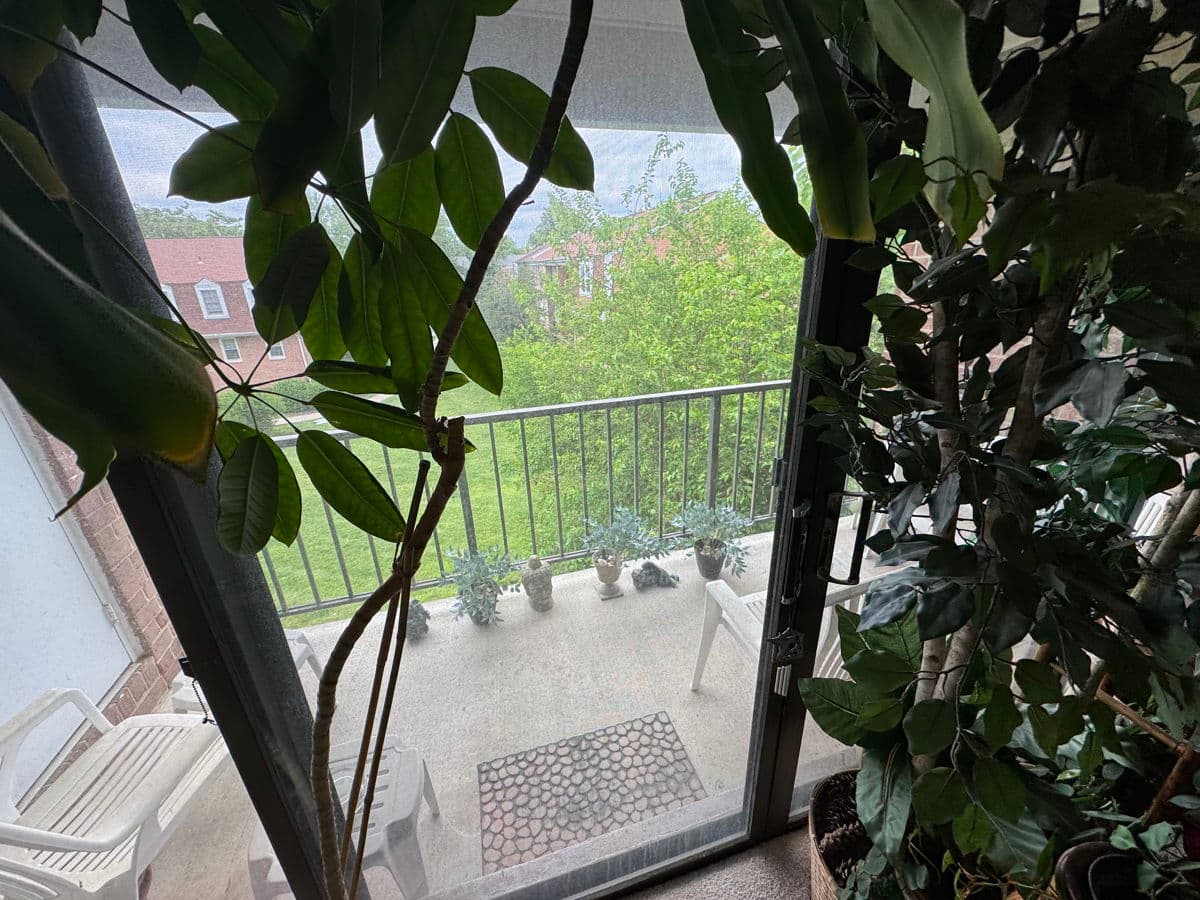 Gaithersburg 20878 condo — photo