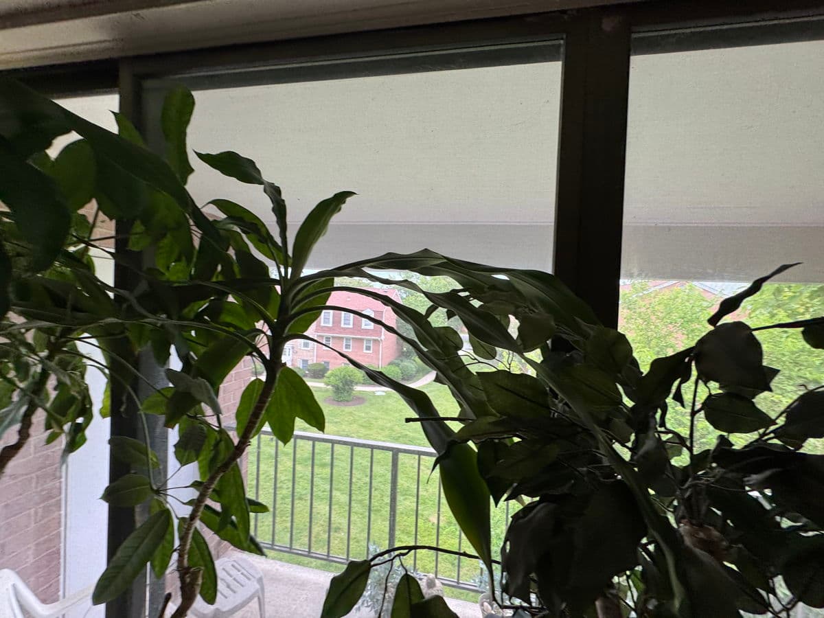 Gaithersburg 20878 condo — photo